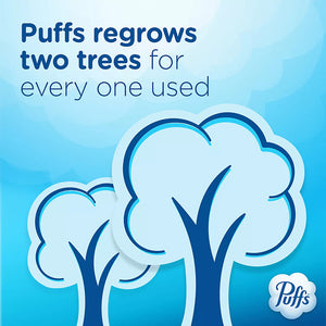 Puffs Plus Lotion Facial Tissues, 1,240 sheets - iviesitems