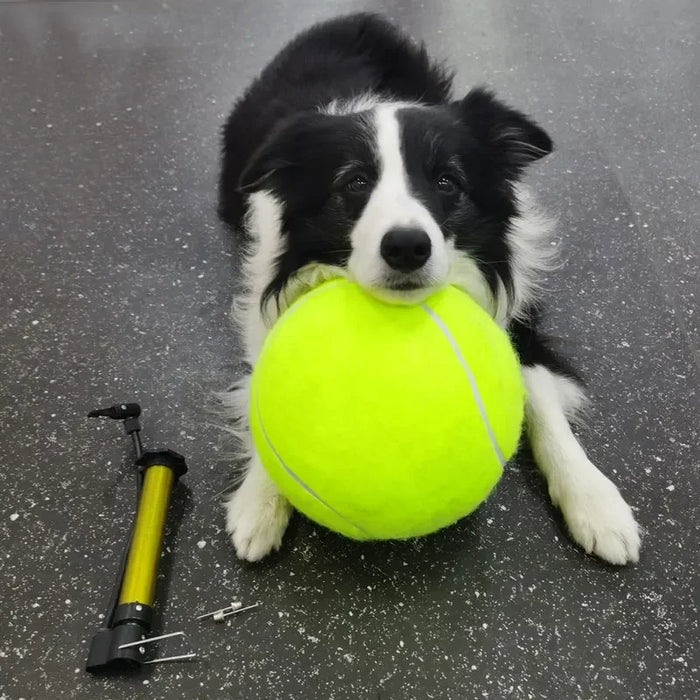 Giant Tennis Ball