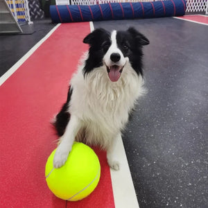 Giant Tennis Ball